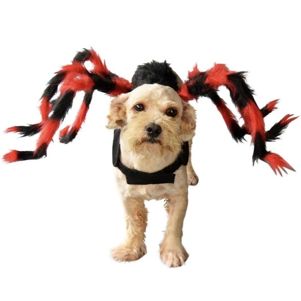 Pet Dress Up Costume Plush Furry Giant Spider Bug Puppy Dog Cat Halloween Small